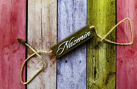 пломба-замочек